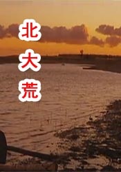 欧洲色大大久久